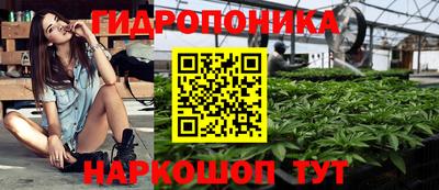 трава Кунгур