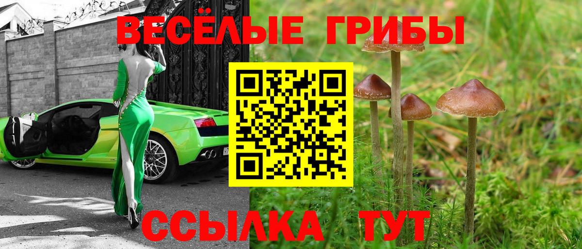 Галлюциногенные грибы Psilocybe  купить  цена  Миасс  Вход с VPN 